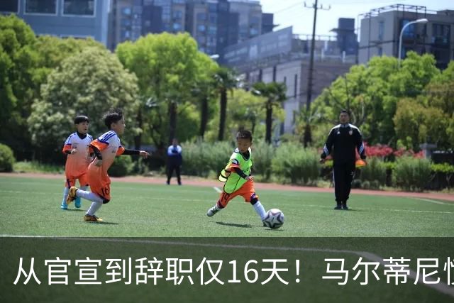 从官宣到辞职仅16天！马尔蒂尼愤然离任，意大利足球彻底沦为笑柄