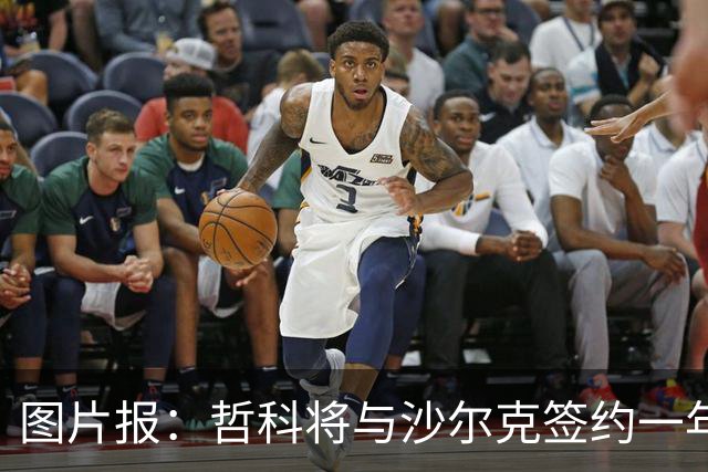 图片报：哲科将与沙尔克签约一年，年薪130万欧元